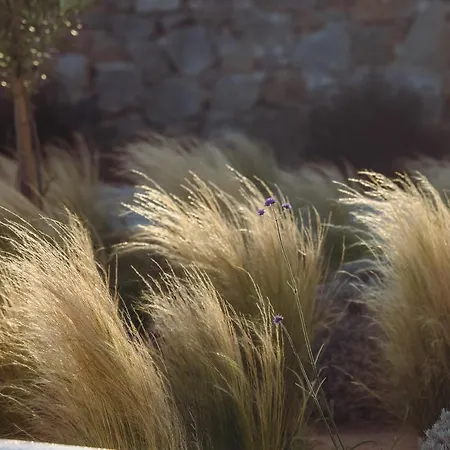 Amodara Boutique Villas-naxos Boutique Luxury Private Agios Prokopios (Naxos)