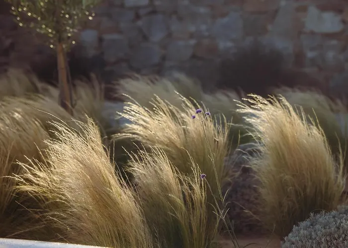 Amodara Boutique Villas-naxos Boutique Luxury Private آغيوس بروكوبيوس