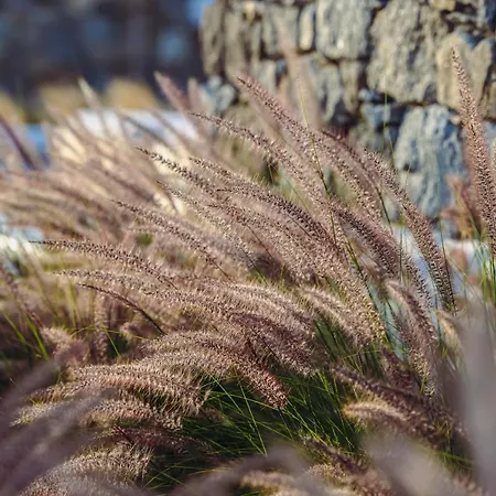 ヴィラ Amodara Boutique Villas-naxos Boutique Luxury Private アギオス・プロコピオス