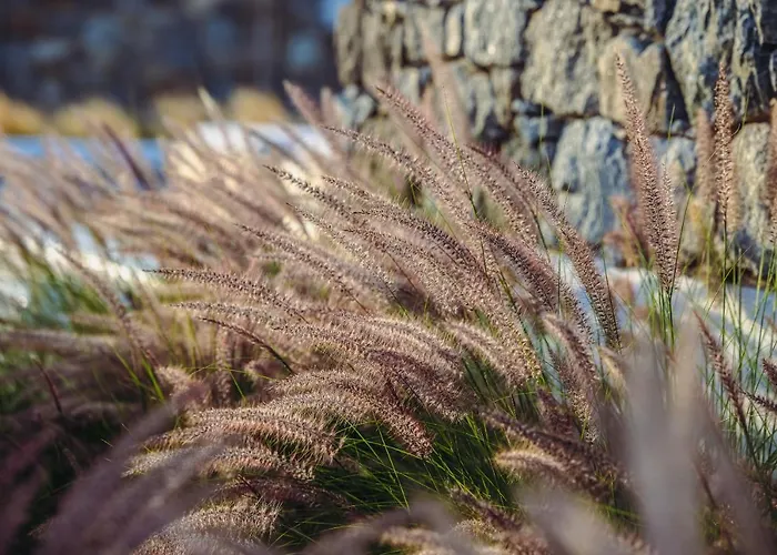 Villa Amodara Boutique Villas-naxos Boutique Luxury Private Agios Prokopios (Naxos)