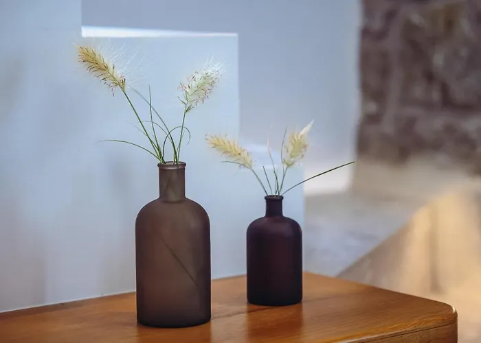 Villa Amodara Boutique Villas-naxos Boutique Luxury Private *